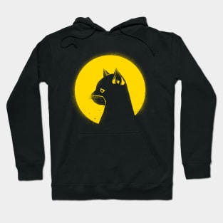 Hero Cat Hoodie